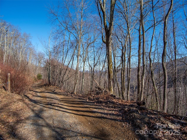 00 Long Branch Rd, Maggie Valley, NC 28751