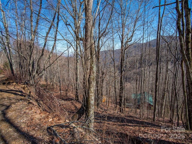 00 Long Branch Rd, Maggie Valley, NC 28751