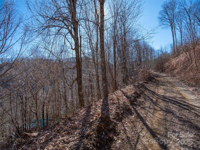 00 Long Branch Rd, Maggie Valley, NC 28751