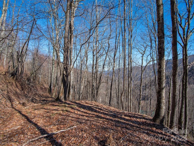 00 Long Branch Rd, Maggie Valley, NC 28751