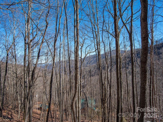 00 Long Branch Rd, Maggie Valley, NC 28751