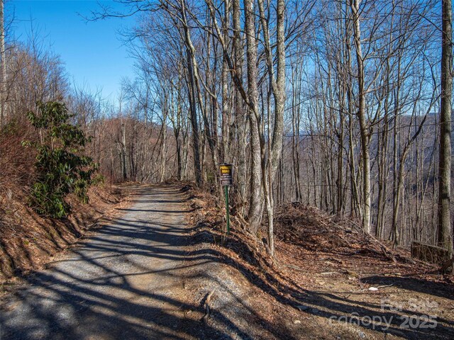 00 Long Branch Rd, Maggie Valley, NC 28751