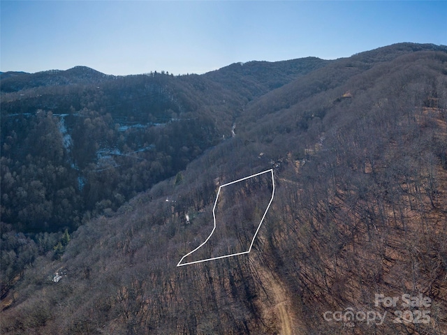 00 Long Branch Rd, Maggie Valley, NC 28751