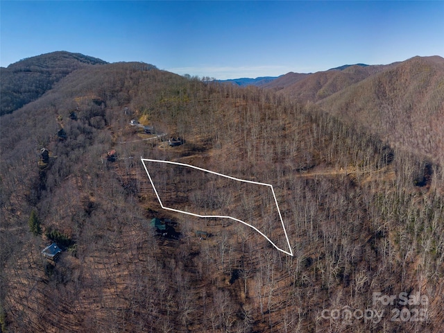 00 Long Branch Rd, Maggie Valley, NC 28751