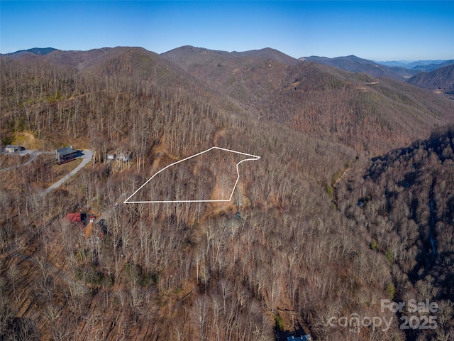 00 Long Branch Rd, Maggie Valley, NC 28751