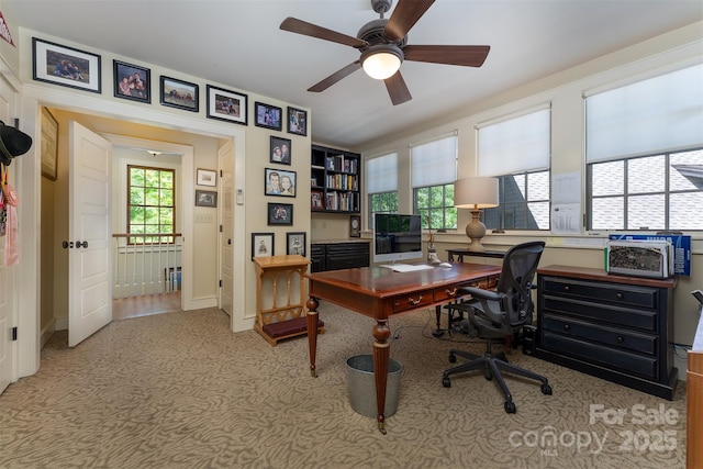 285 Chapman Rd, Montreat, NC 28757 - photo 26
