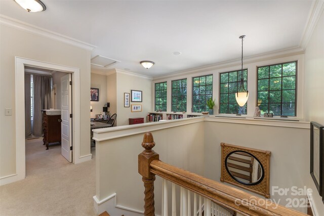 285 Chapman Rd, Montreat, NC 28757 - photo 29