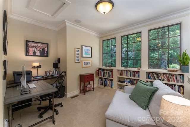 285 Chapman Rd, Montreat, NC 28757 - photo 30