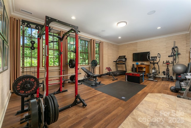 285 Chapman Rd, Montreat, NC 28757 - photo 37