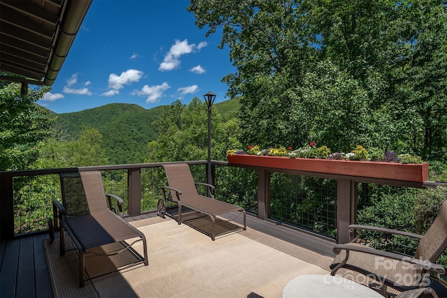 285 Chapman Rd, Montreat, NC 28757 - photo 41