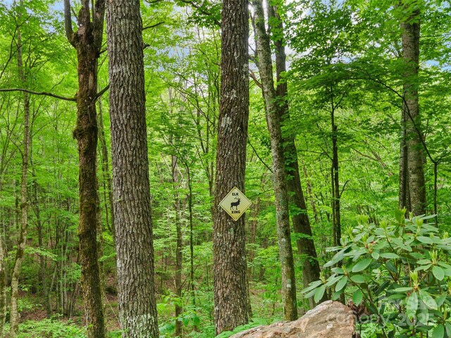 306 Mashstomp Rd, Maggie Valley, NC 28751 - view of wooded area
