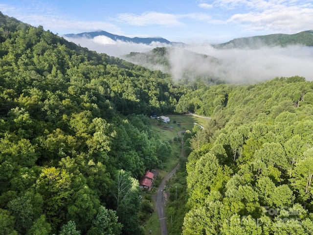 160 Colehearth Hollow Rd, Bakersville, NC 28705 - photo 9