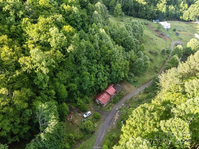 160 Colehearth Hollow Rd, Bakersville, NC 28705 - photo 10