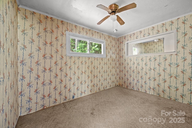160 Colehearth Hollow Rd, Bakersville, NC 28705 - photo 31