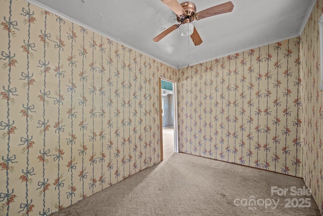160 Colehearth Hollow Rd, Bakersville, NC 28705 - photo 32