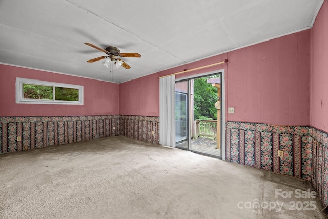 160 Colehearth Hollow Rd, Bakersville, NC 28705 - photo 35