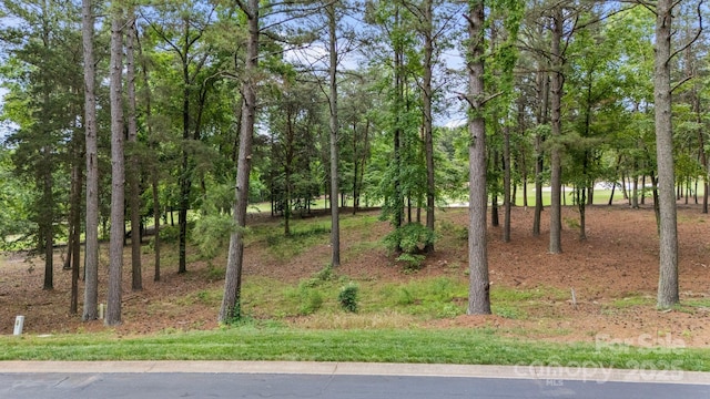 223 Millingport Ln, New London, NC 28127