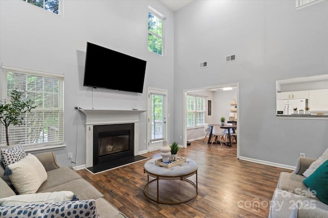 1410 Swaying Branch Ln, Clover, SC 29710 - living room featuring a high ceiling, wood finished floors, a glass covered fireplace, and baseboards