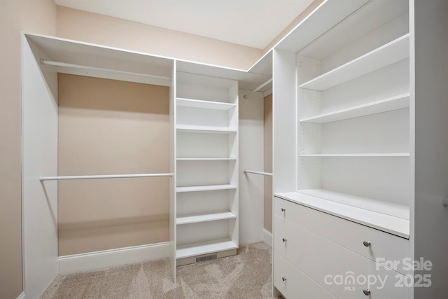 100 Woodwinds Dr, Mount Holly, NC 28120 - spacious closet with light colored carpet