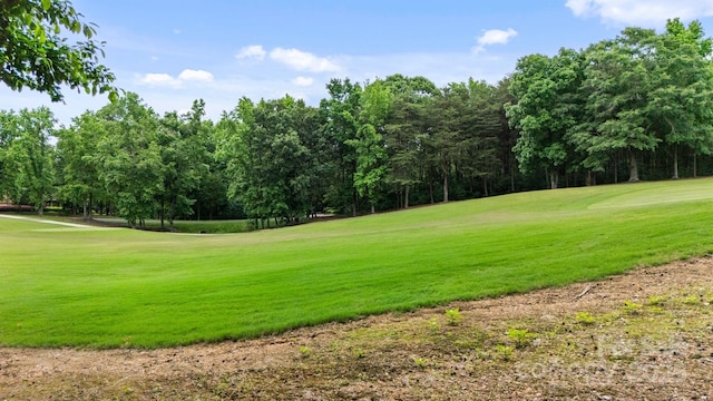135 Yadkin Falls Rd, New London, NC 28127 - photo 5