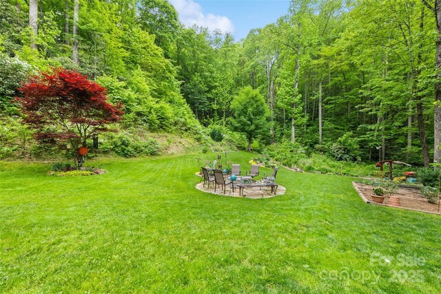 640 Pot Leg Rd, Waynesville, NC 28785 - photo 7
