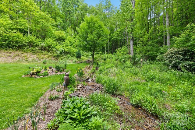 640 Pot Leg Rd, Waynesville, NC 28785 - photo 9