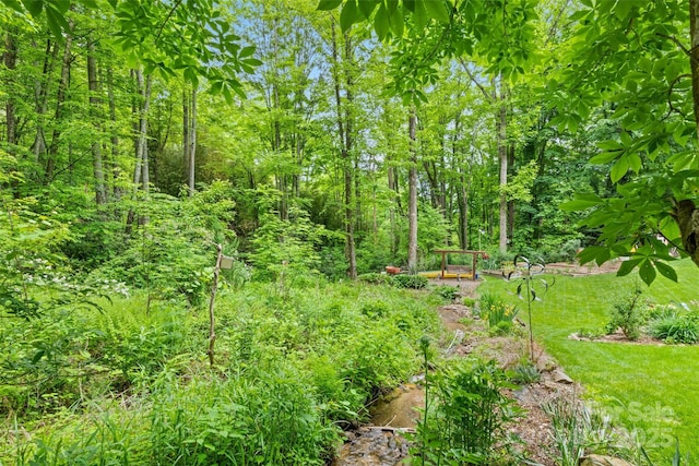 640 Pot Leg Rd, Waynesville, NC 28785 - photo 10