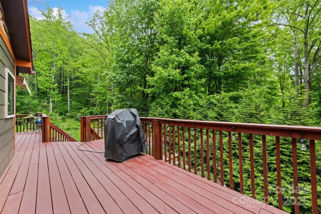 640 Pot Leg Rd, Waynesville, NC 28785 - photo 12