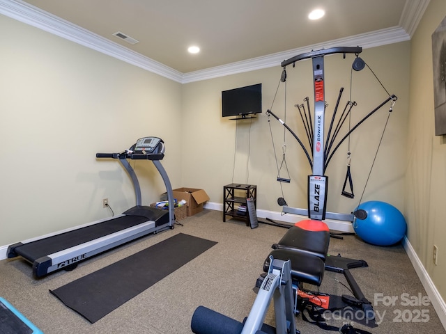 41 Annakesta Ct, Brevard, NC 28712 - exercise area with crown molding, baseboards, and recessed lighting