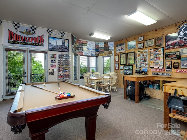 41 Annakesta Ct, Brevard, NC 28712 - rec room featuring carpet and billiards