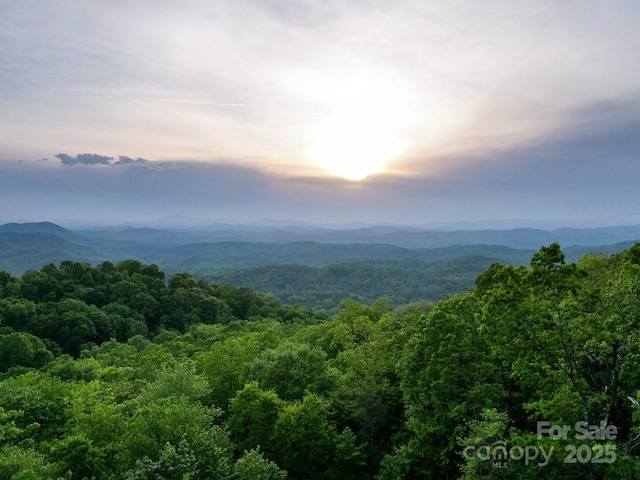 41 Annakesta Ct, Brevard, NC 28712 - view of mountain backdrop with a forest