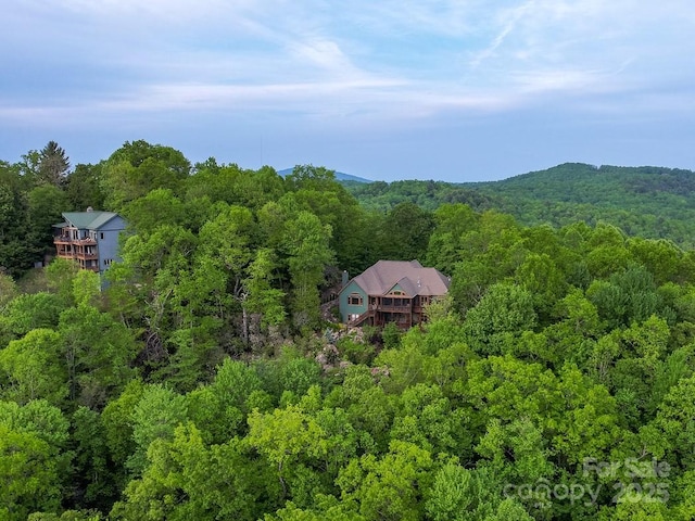 41 Annakesta Ct, Brevard, NC 28712 - view from above of property featuring a forest