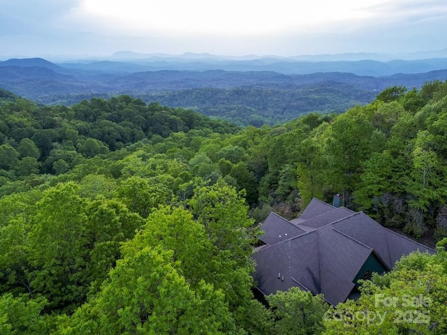 41 Annakesta Ct, Brevard, NC 28712 - view from above of property featuring a forest and a mountain backdrop