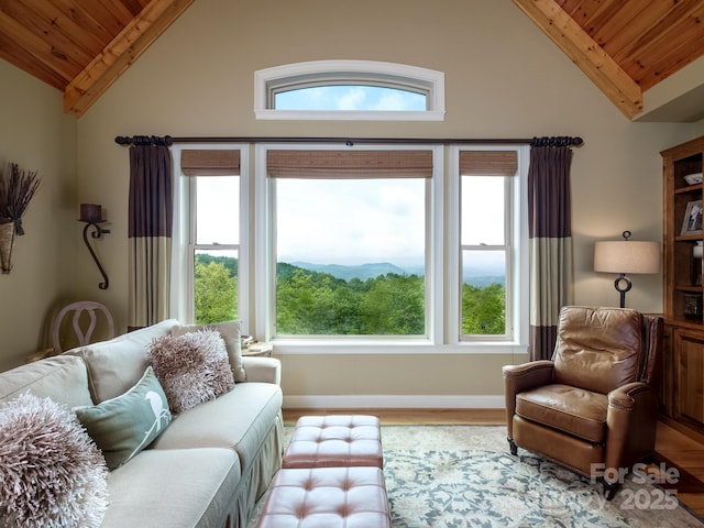 41 Annakesta Ct, Brevard, NC 28712 - living area featuring wooden ceiling, vaulted ceiling, wood finished floors, healthy amount of natural light, and baseboards