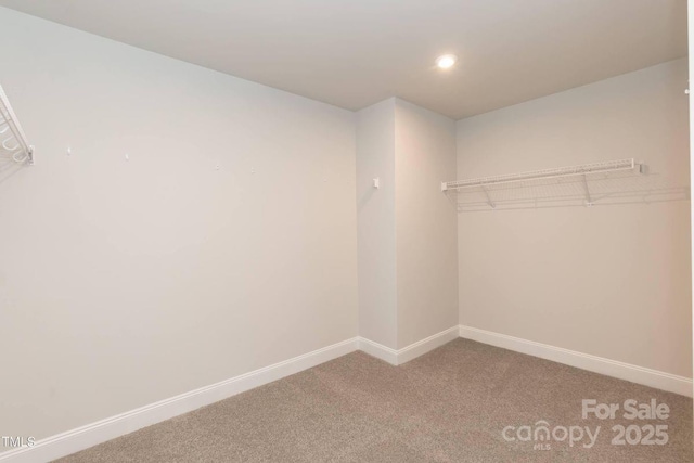 236 Mountain Island Rd Unit 40, Statesville, NC 28677 - walk in closet featuring carpet floors