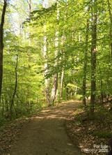 236 Mountain Island Rd Unit 40, Statesville, NC 28677 - view of woods