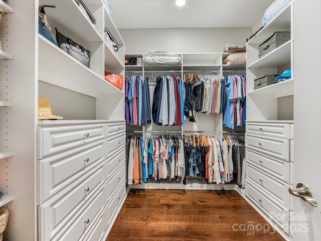 5030 Waldron Meadow Dr, Charlotte, NC 28226 - spacious closet with dark wood finished floors