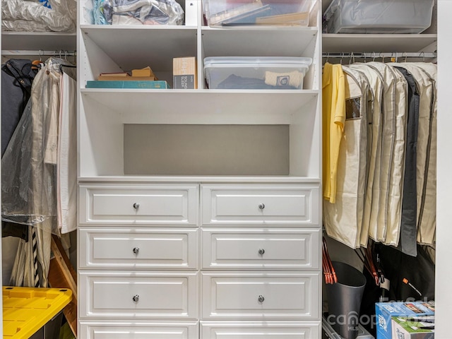 5030 Waldron Meadow Dr, Charlotte, NC 28226 - view of spacious closet