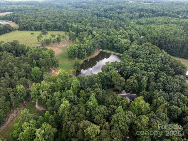 1360 Skunk Hollow Rd, Campobello, SC 29322 - aerial view of property and surrounding area with a heavily wooded area and a large body of water