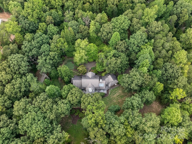 1360 Skunk Hollow Rd, Campobello, SC 29322 - aerial overview of property's location