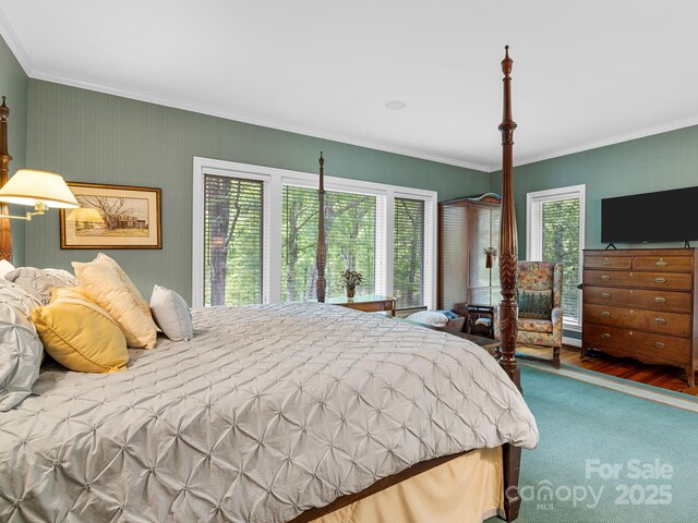 1360 Skunk Hollow Rd, Campobello, SC 29322 - carpeted bedroom with multiple windows and ornamental molding