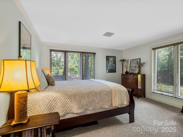1360 Skunk Hollow Rd, Campobello, SC 29322 - carpeted bedroom featuring ornamental molding and multiple windows