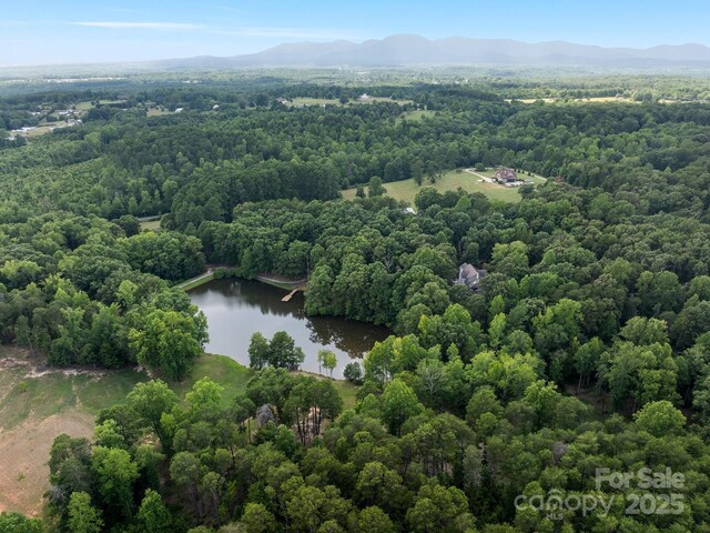 1360 Skunk Hollow Rd, Campobello, SC 29322 - bird's eye view of a water and mountain view and a forest