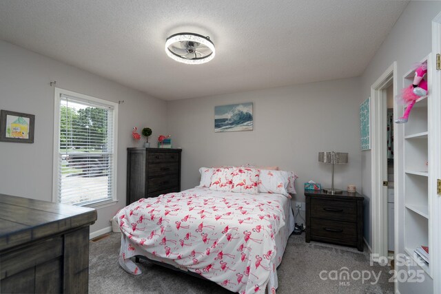 103 Poplar Trl, Rockwell, NC 28138 - bedroom with carpet floors, baseboards, and a textured ceiling