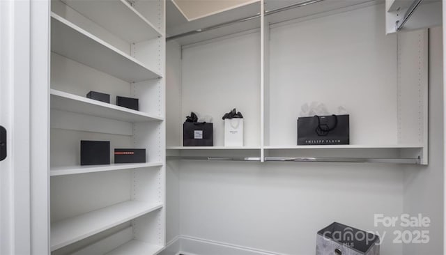 411 Newstyle Way, Gastonia, NC 28056 - view of spacious closet