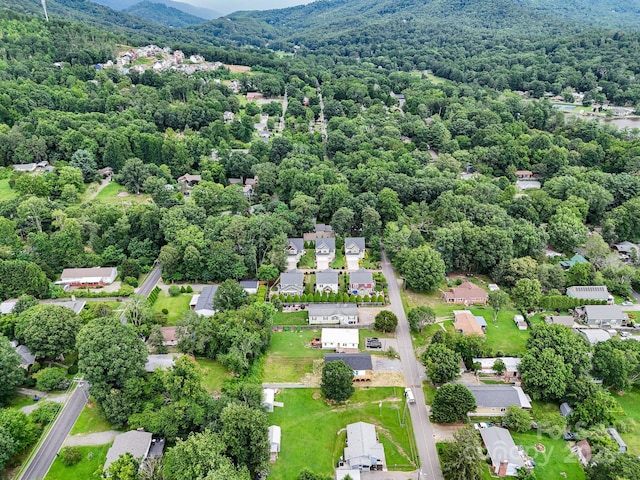 58 Goldmont St, Black Mountain, NC 28711 - photo 39