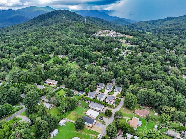 58 Goldmont St, Black Mountain, NC 28711 - photo 40