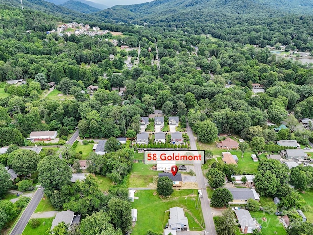 58 Goldmont St, Black Mountain, NC 28711 - photo 7