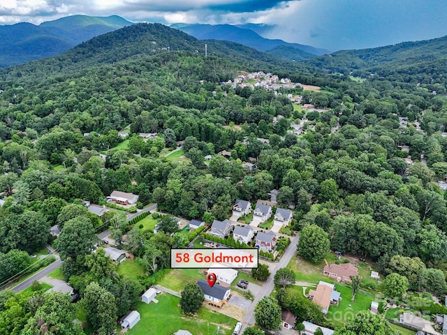58 Goldmont St, Black Mountain, NC 28711 - photo 8