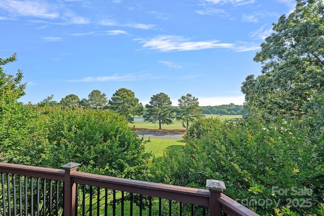 3506 Cardiff Ln, Matthews, NC 28104 - view of yard